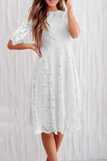 Casual Solid Lace O Neck Cake Skirt Dresses