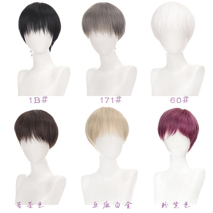 sengpan Short Straight Black White Grey Synthetic Men's Wig With Bangs For Everyday Anime Cosplay Party