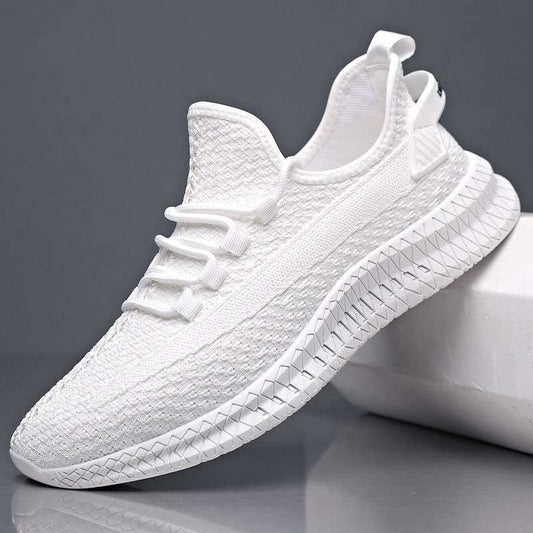 sengpashop Cross-Border Foreign Trade Men's Casual Shoes Men's Fashionable All-Matching Sneaker Men's Shoes Flying Woven Breathable Mesh Cloth Shoes Manufacturer