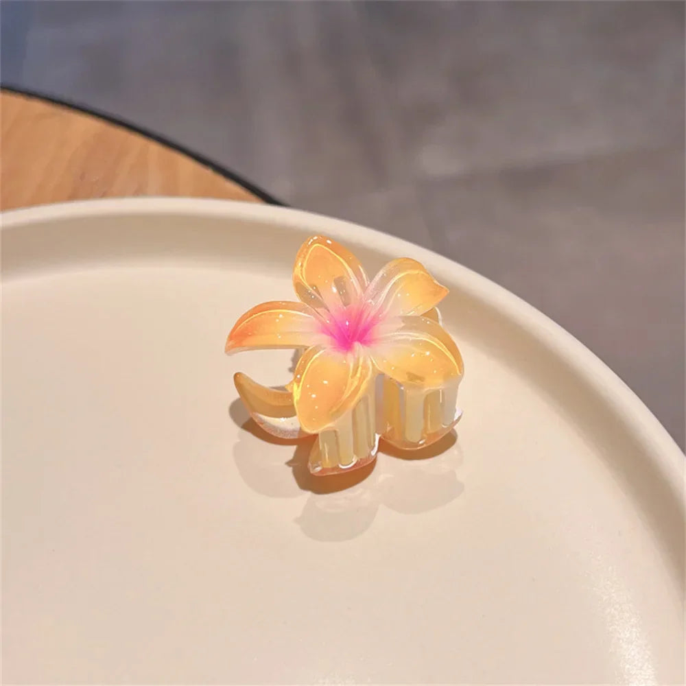 sengpan New Gradient Large Flower Acrylic Hair Clip for Women Sweet Hairpins Hair Claws Crab Clamp Barrettes Hawaiian Hair Accessories