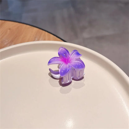 Lianfudai New Gradient Large Flower Acrylic Hair Clip for Women Sweet Hairpins Hair Claws Crab Clamp Barrettes Hawaiian Hair Accessories