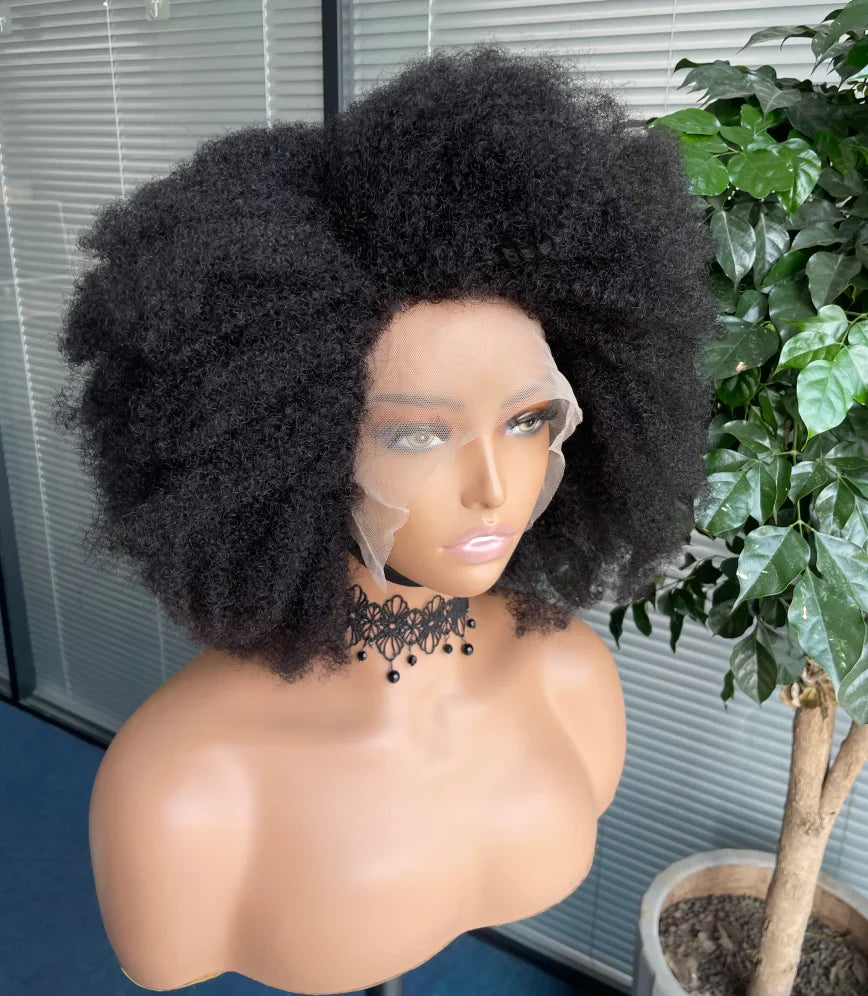 sengpan Afro Kinky Curly Lace Front Wig Brazilian Afro Short Bob Human Hair Wig 13x4x2 HD Lace Natural Hairline 250% Density 12A