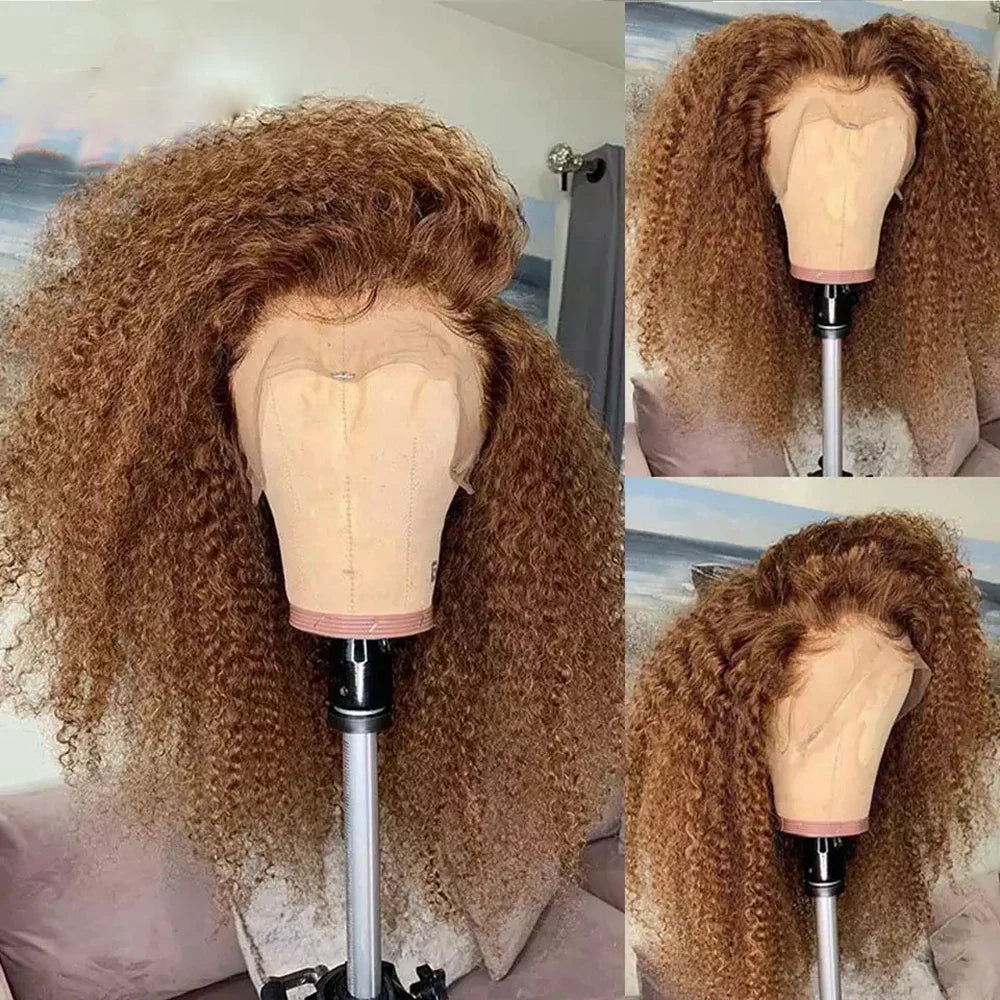 sengpan Soft Brown 26Inch Long Kinky Curly Honey BlondeLace Front Wig for Black Women 180Density BabyHair Glueless Preplucked  Daily