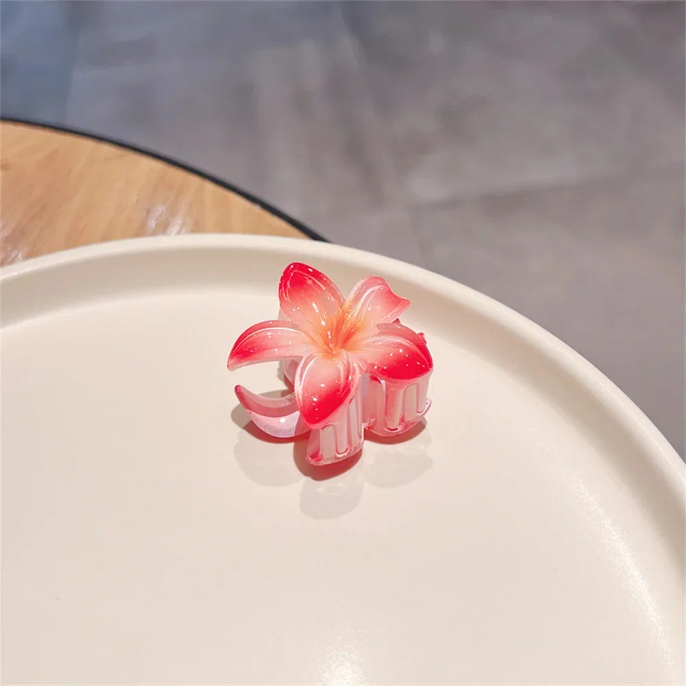 Lianfudai New Gradient Large Flower Acrylic Hair Clip for Women Sweet Hairpins Hair Claws Crab Clamp Barrettes Hawaiian Hair Accessories