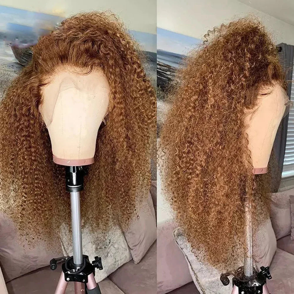 sengpan Soft Brown 26Inch Long Kinky Curly Honey BlondeLace Front Wig for Black Women 180Density BabyHair Glueless Preplucked  Daily