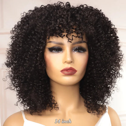 sengpan Big Curly Wig With Bangs Short Human Hair Afro Kinky Curly Wig Brown Color Glueless Full Machine Made Wig 250 Density Brazilian