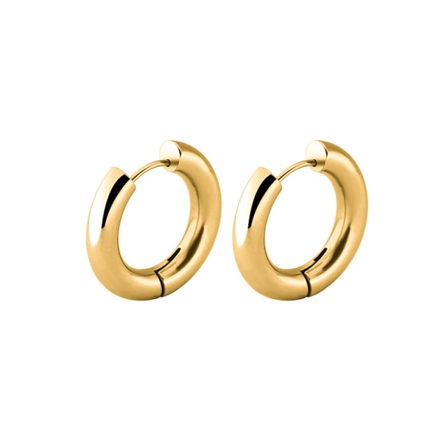 sengpan Gold Silver Color Stainless Steel Hoop Earrings for Women Small Simple Round Circle Huggies Ear Rings Steampunk Accessories