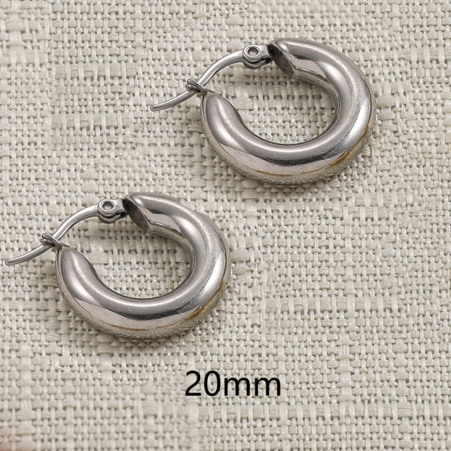 sengpan Gold Silver Color Stainless Steel Hoop Earrings for Women Small Simple Round Circle Huggies Ear Rings Steampunk Accessories