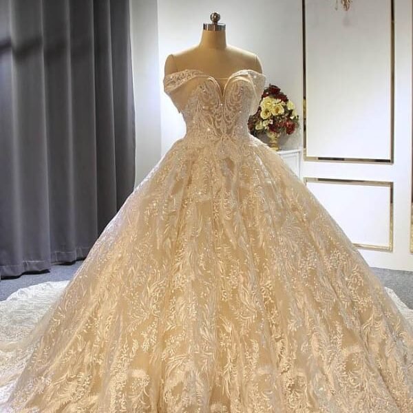 Elegant Off the shoulder Lace-Up Ball Gown Wedding Dresses with Train
